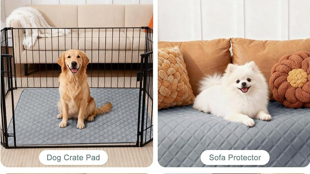 Reusable Washable Pee Pads for Dogs Large/Extra Large 36'' X 41'' 2 Pack, Absorbent Pet Puppy Dog Training Pads Non-Slip, Waterproof Whelping Potty Pads for Dogs Leak-Proof